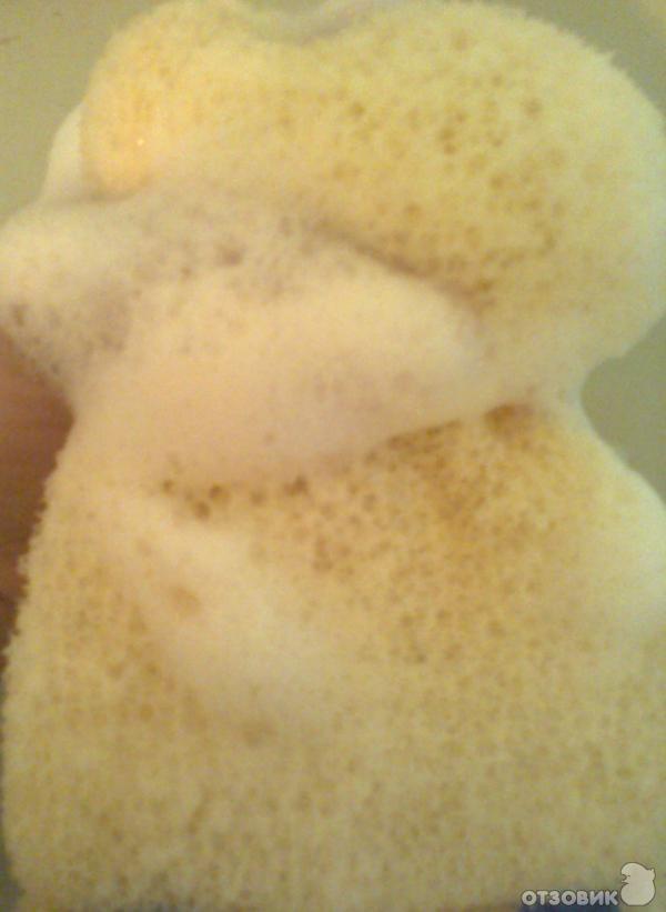 Мочалка для ухода за телом СТП Гарант Шахтерская фото