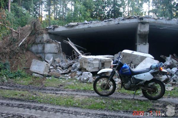 Мотоцикл SUZUKI Djebel 250 XC 2001 фото