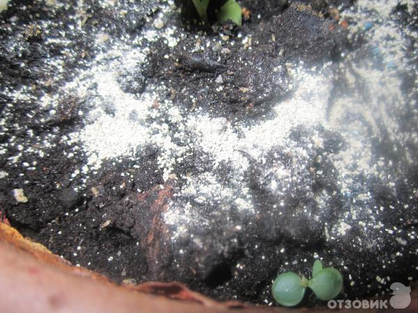 гром-2 вид гранул на земле