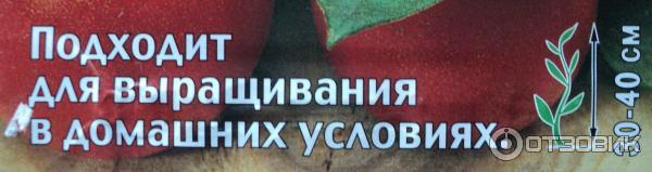 Семена помидора СеДек Балконное чудо фото