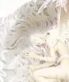 LaPerla