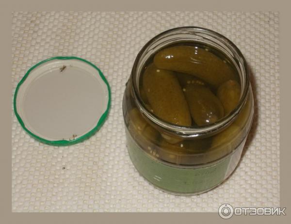 Маринованные огурцы Freshona фото