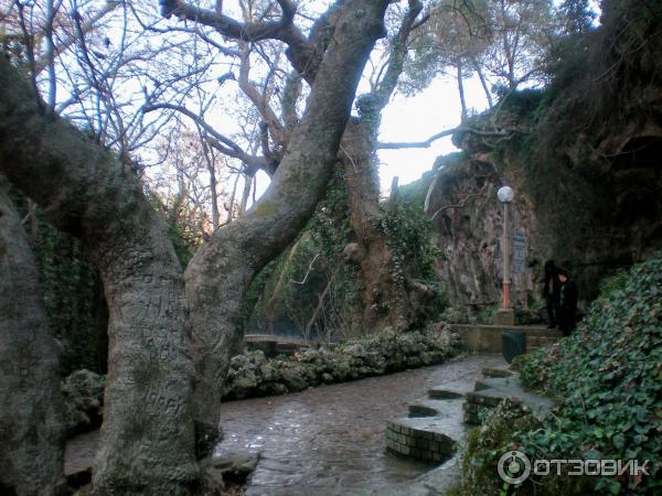 Экскурсия к водопаду Верхний Дюден (Турция, Анталья) фото