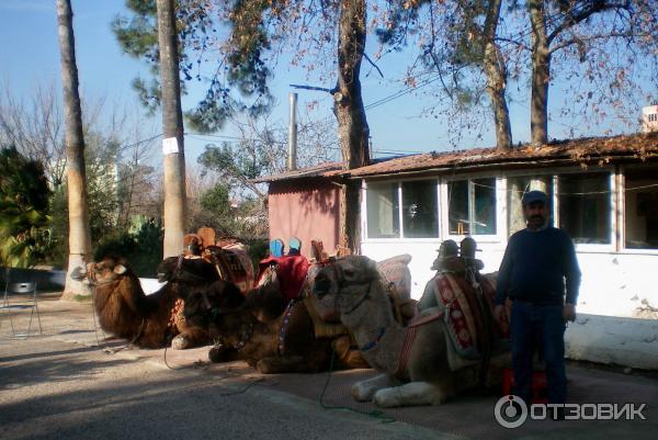Экскурсия к водопаду Верхний Дюден (Турция, Анталья) фото