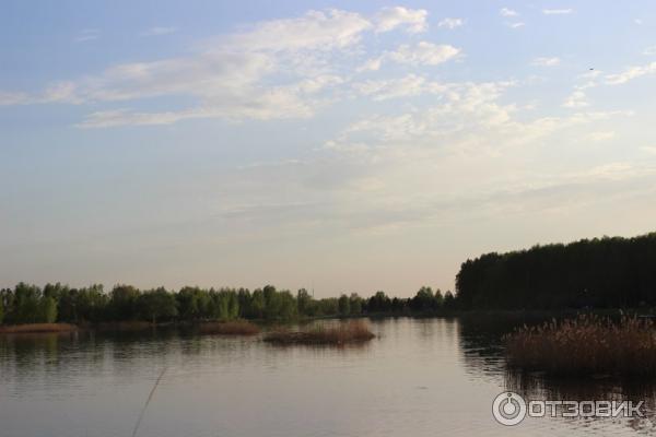 Национальный парк Лосиный Остров (Россия, Москва) фото