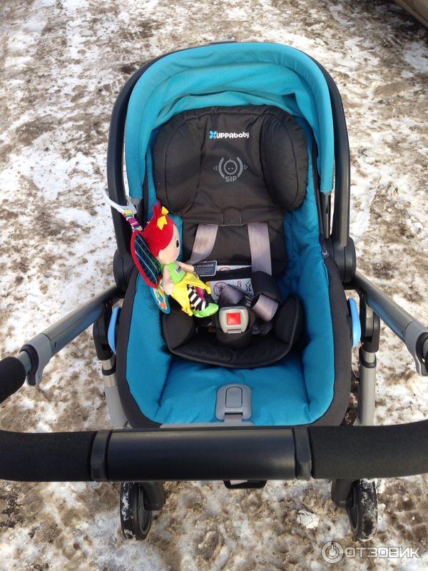 Прогулочная коляска UPPAbaby Cruz фото