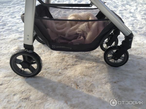 Прогулочная коляска UPPAbaby Cruz фото