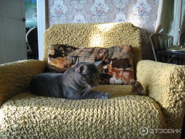 Чехол для мебели Ga.i.Co фото