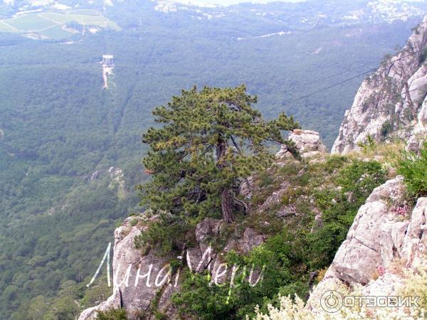 канатная дорога на гору Ай-Петри