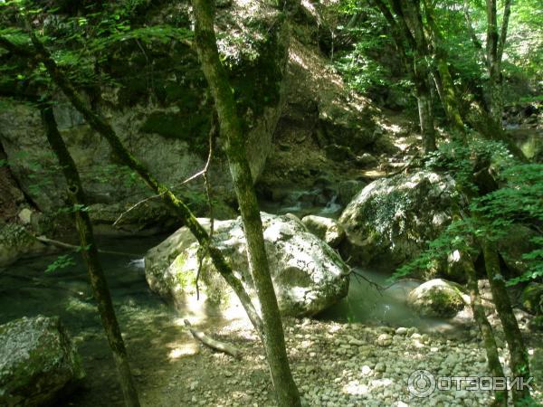 Экскурсия на гору Ай-Петри (Украина, Крым) фото