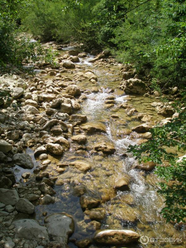 Экскурсия на гору Ай-Петри (Украина, Крым) фото