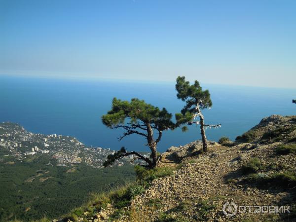 Экскурсия на гору Ай-Петри (Украина, Крым) фото