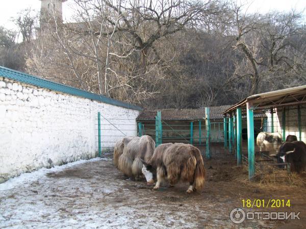 В Нальчике, в зоопарке