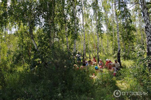 Древнее городище Аркаим (Россия, Челябинская область) фото