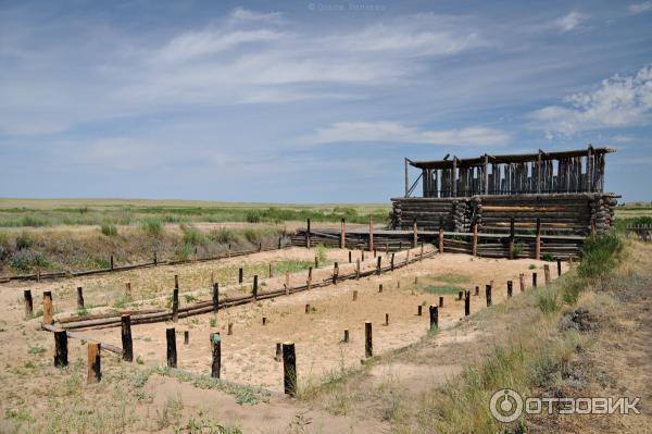 Древнее городище Аркаим (Россия, Челябинская область) фото