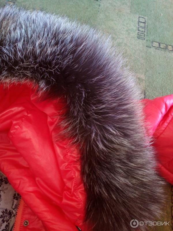 Зимняя куртка Gipnoz фото