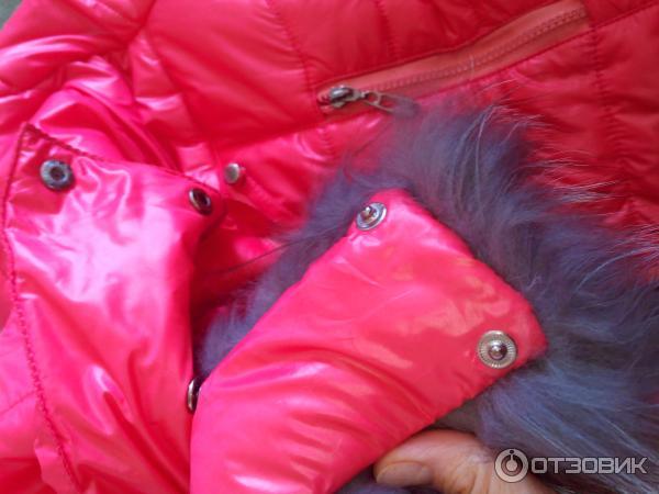 Зимняя куртка Gipnoz фото