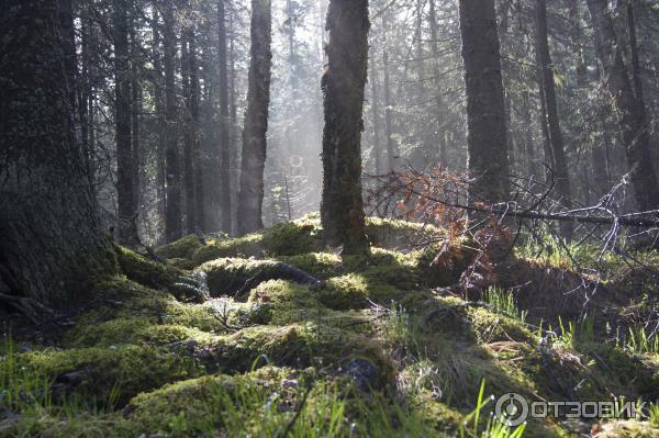 Гора Иремель (Башкирия, Белорецкий район) фото