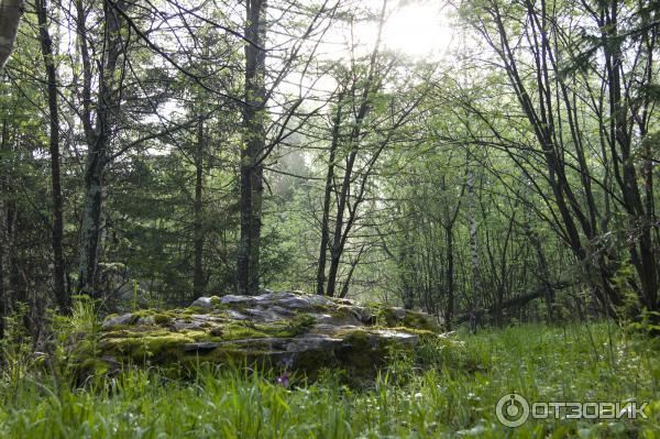 Гора Иремель (Башкирия, Белорецкий район) фото