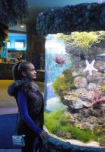 Океанариум Star&Mlad (Россия, Воронеж) фото