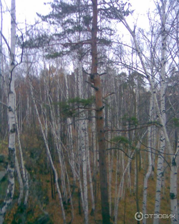 Гора Семь братьев и сестра (Россия, Свердловская область) фото