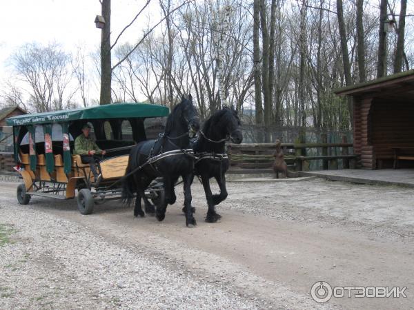 Агротуристический комплекс Коробчицы (Беларусь, Гродненская область) фото