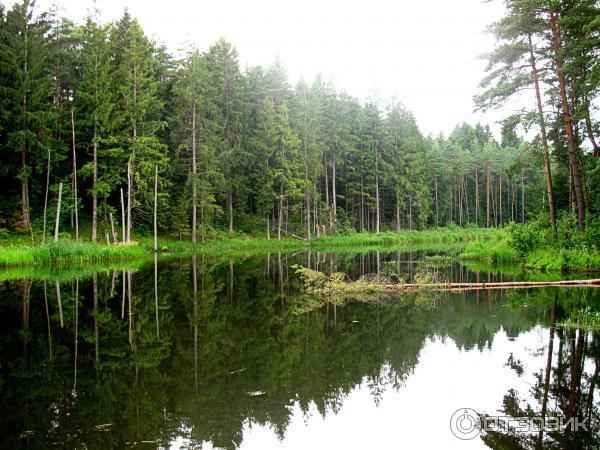 Экскурсия по Августовскому каналу (Беларусь, Гродненская область) фото