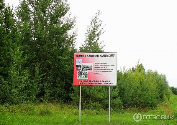 Экскурсия по Августовскому каналу (Беларусь, Гродненская область) фото