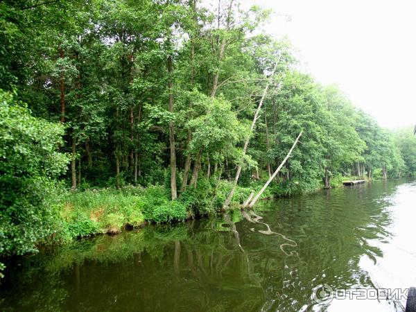 Экскурсия по Августовскому каналу (Беларусь, Гродненская область) фото