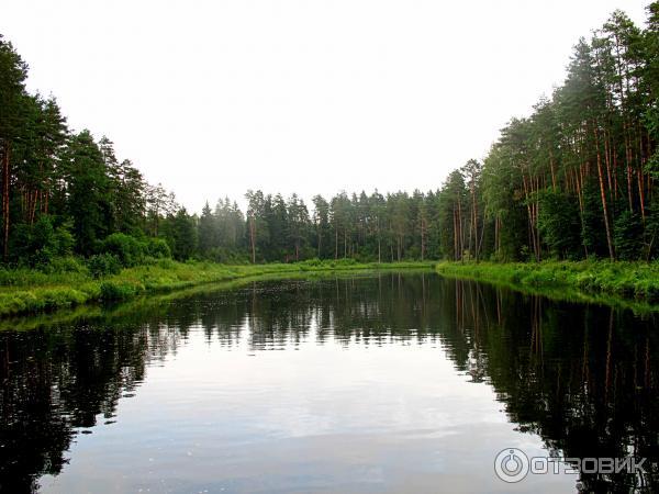 Экскурсия по Августовскому каналу (Беларусь, Гродненская область) фото