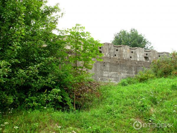 Экскурсия по Августовскому каналу (Беларусь, Гродненская область) фото