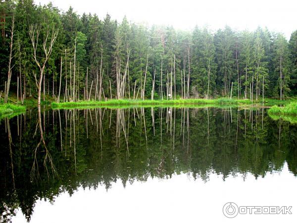 Экскурсия по Августовскому каналу (Беларусь, Гродненская область) фото