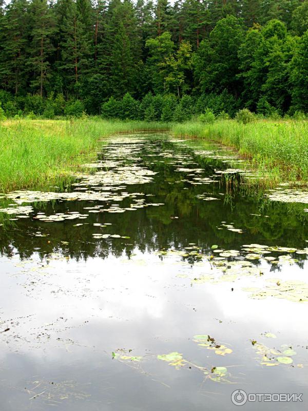 Экскурсия по Августовскому каналу (Беларусь, Гродненская область) фото