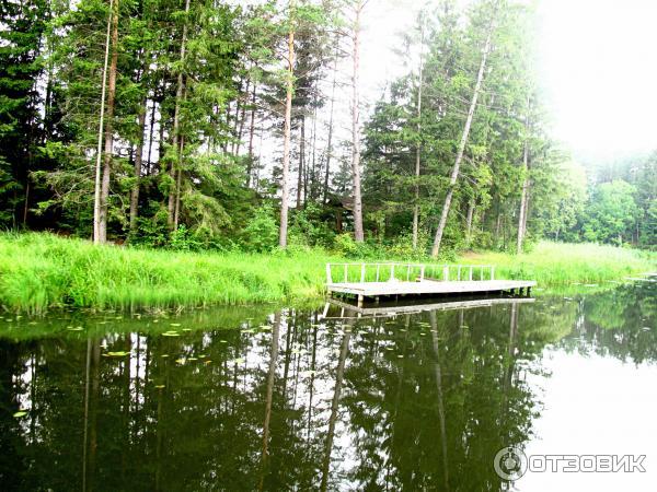 Экскурсия по Августовскому каналу (Беларусь, Гродненская область) фото