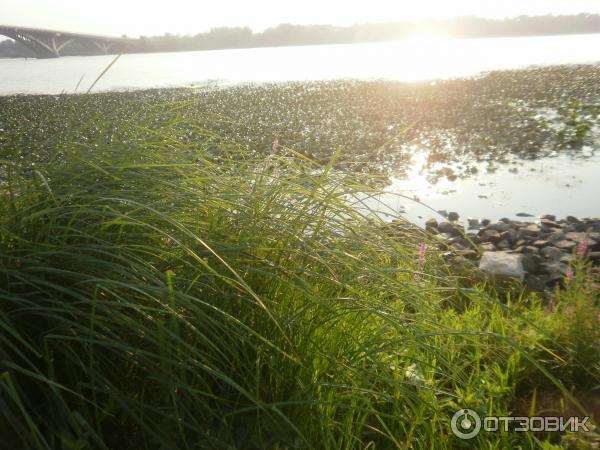 Река Днепр (Украина) фото