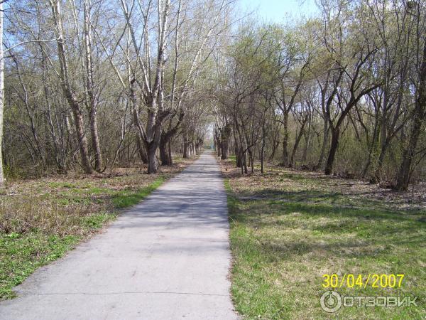 Курорт Озеро-Карачи фото