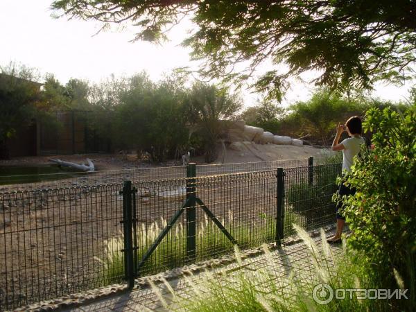 Зоопарк Аль-Айна (Al Ain Zoo) (ОАЭ, Аль-Айн) фото