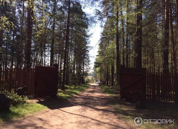 Гостевой дом Домик охотника в д. Вередово (Беларусь, Молодечно) фото