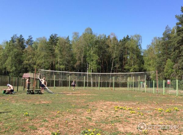 Гостевой дом Домик охотника в д. Вередово (Беларусь, Молодечно) фото