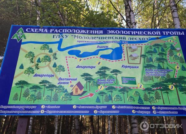 Гостевой дом Домик охотника в д. Вередово (Беларусь, Молодечно) фото