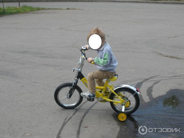 Велосипед детский Profi Trike W1444S 14 фото