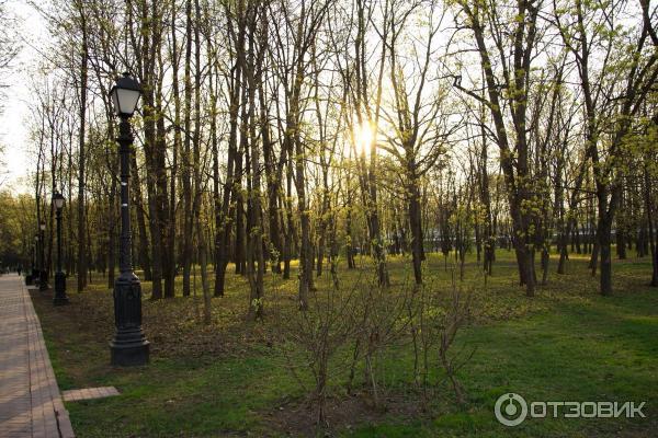 Музей-заповедник Царицыно (Россия, Москва) фото