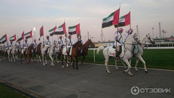 Конные скачки Dubai World Cup (Всемирный кубок Дубая) фото