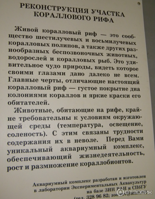 зоологический музей Санкт Петербург Фото реконструкция кораллового рифа