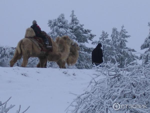 Горнолыжный отдых на Ай-Петри (Украина, Крым) фото