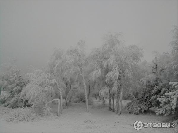 Горнолыжный отдых на Ай-Петри (Украина, Крым) фото