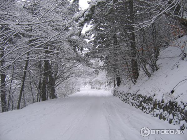 Горнолыжный отдых на Ай-Петри (Украина, Крым) фото