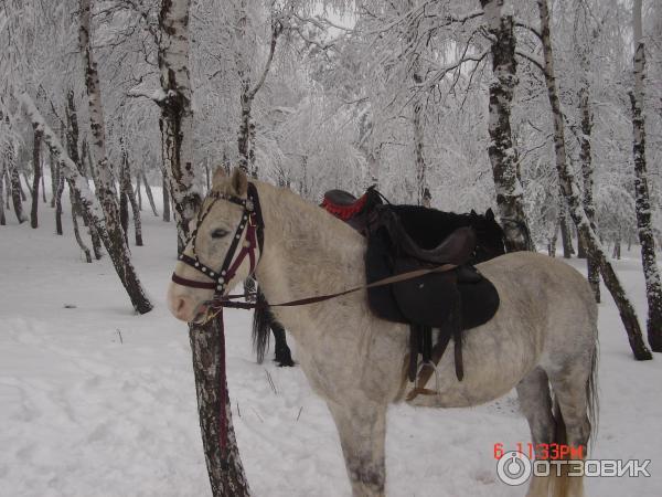 Горнолыжный отдых на Ай-Петри (Украина, Крым) фото