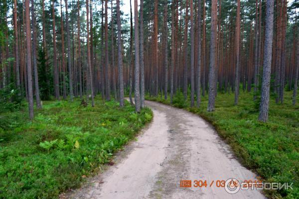 Озера Ленинградской области фото