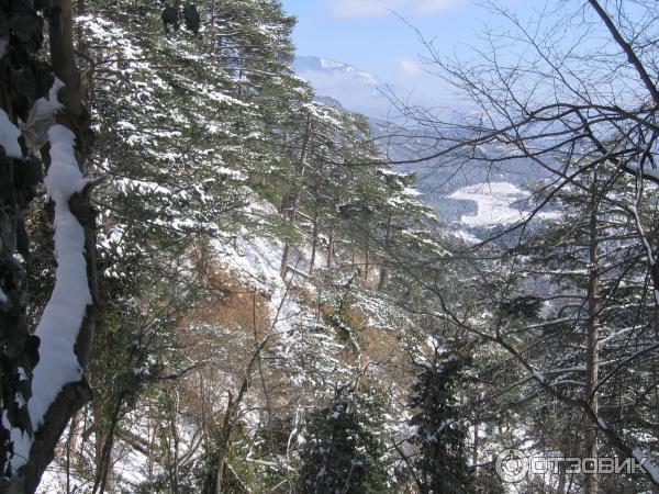 Экскурсия к водопаду Учан-Су (Россия, Ялта) фото